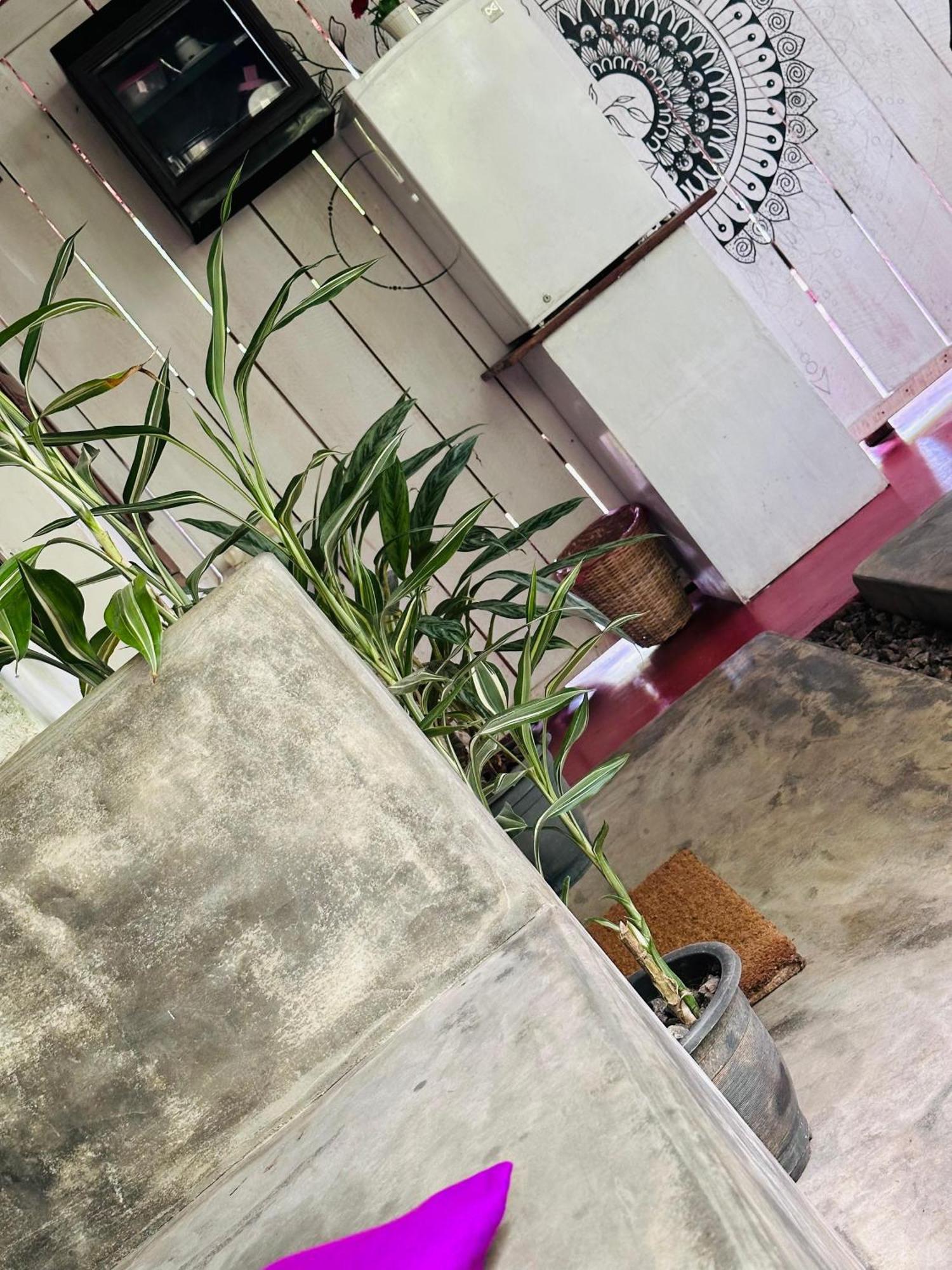 Venora Hiriketiya Bed & Breakfast Dikwella Dış mekan fotoğraf